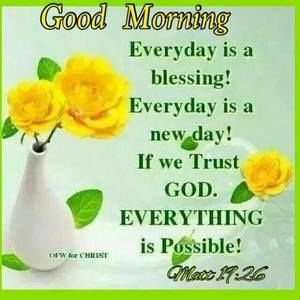 Meet your Posher, Yolene